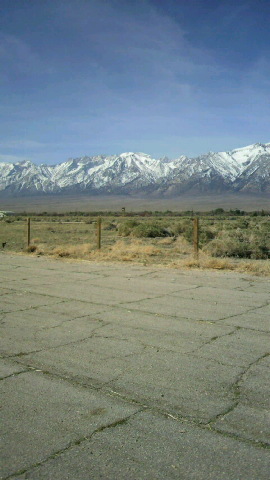 2010042116210000.jpg
