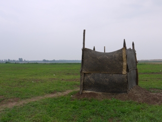 P1020346mini.jpg