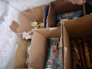 P1010994mini.jpg