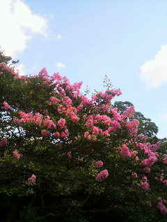 2010082709270000.jpg