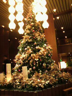 2010120218520000.jpg