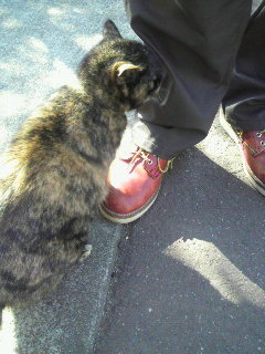 2010121211050000.jpg