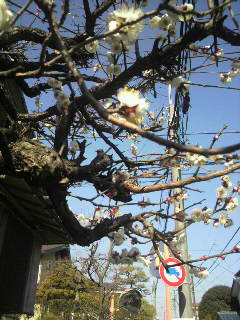 2011012612040000.jpg