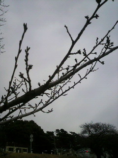 2011030314440000.jpg