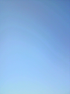 2011030511240000.jpg