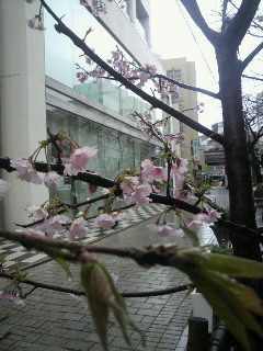 2011032114470000.jpg