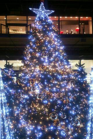 img20141113_172722.jpg