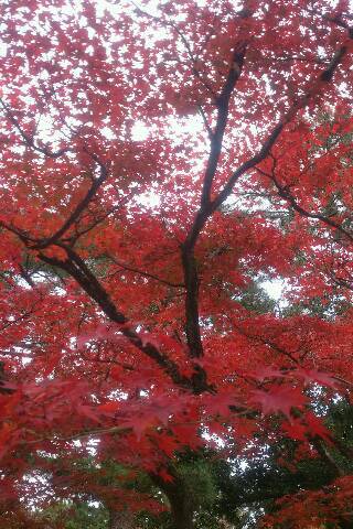 img20141120_124859.jpg