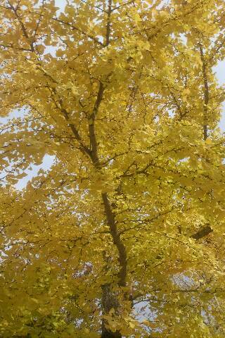 img20141120_122839.jpg