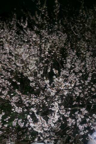 img20150222_225326.jpg