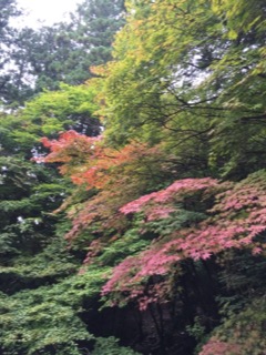 image1.JPG