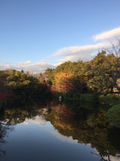image1.JPG