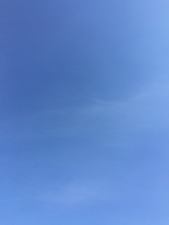 image1.JPG