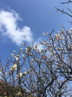 image1.JPG