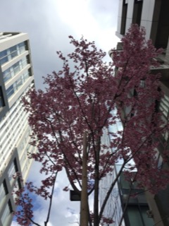 image1.JPG