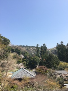 image1.JPG
