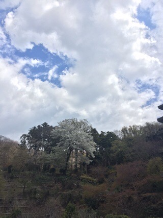image2.jpeg